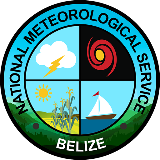 NMS Logo